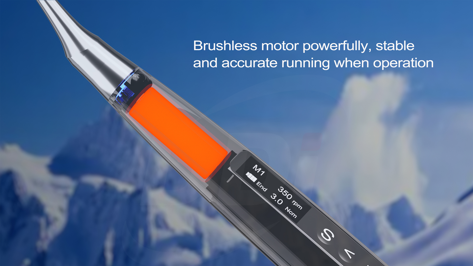 1734578459186378.jpg 3.jpg